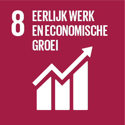 SDG 8 Eerlijk werk en economische groei